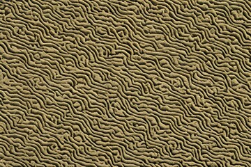 Poster - Texture or background of rough fabric.