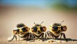 Trio bees wearing sunglasses enjoying summer Made With Generative AI