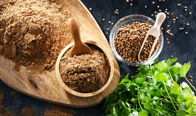 Ground coriander, its dried seeds and fresh leaves