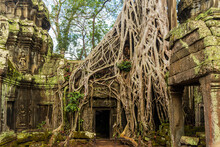 Panorama Of Ancient Stone Door And Tree Roots, Ta Prohm Temple Ruins, Angkor, Cambodia