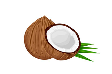 Wall Mural - Coconut and leaves isolated on white background. 