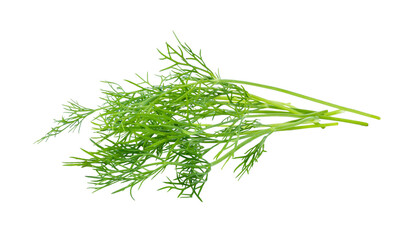 fresh dill isolated on transparent png