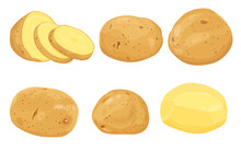 Set Of Potatoes Vector Illustration. Isolated On White Background. Vector Eps 10. Perfect For Wallpaper Or Design Elements