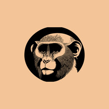 BEAUTIFUL Monkey ART DESIGN  (11)-01