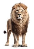 Lion, isolated on transparent background. Generative AI