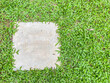 Top view of cement or concrete brick or tile texture spaces for text with green grass background