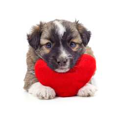 Canvas Print - Dog with heart.