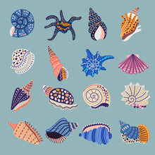 Seashell. Ornamental Stylized Illustrations Of Marine Symbols Doodle Seashel Recent Vector Collection