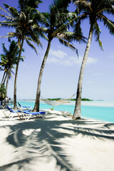 Poster - Hammock slung between tall swaying palms in shade by waters edge on Aitutaki Island