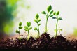 © Kateryna - Group of green sprouts growing out from soil, watercolor style AI Generated