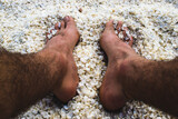 Fototapeta Zwierzęta - Male feet dept in shell beach