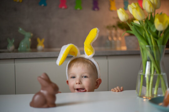 a cute little boy wearing bunny ears on easter day wants to eat a chocolate easter bunny. a child pl