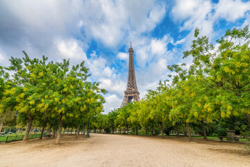 Wall Mural - Eiffel Tower seen from the park in Paris. France