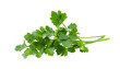 fresh parsley isolated on transparent png