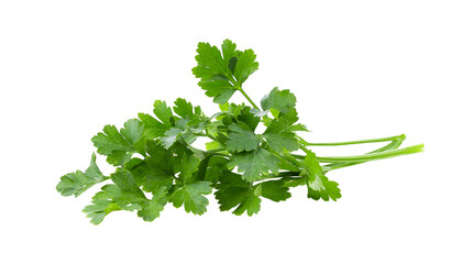 Sticker - fresh parsley isolated on transparent png