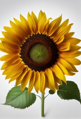 Sticker - sunflower with Generative AI