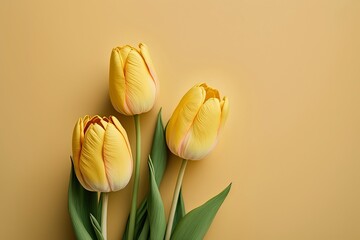 Sticker - Tulip flowers with Generative AI