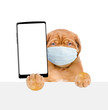 Mastiff puppy wearing medical protective mask shows empty screen of a smartphone from behind empty banner. Isolated on white background