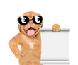 Funny dog wearing  sunglasses with euro sign shows empty list. Empty space for text