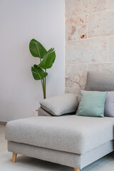 Wall Mural - Green plant  next to a light grey living room sofa with pillows in front of a natural stone wall