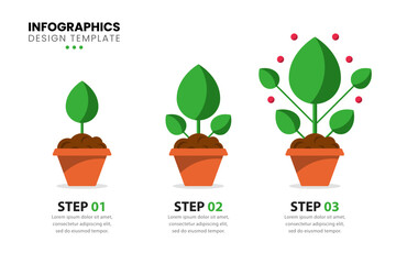 infographic template. 3 gradually growing plants with text. business metaphor