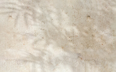 Close up of texture of old, weathered, eroded white stone concrete wall in beautiful foliage dappled sunlight of tropical bamboo tree leaf shadow for interior design decoration material background 3D