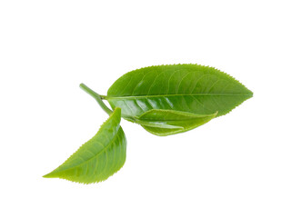 Wall Mural - green tea isolated on transparent png