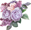 Lilac and roses  isolated on a transparent background. Png file.  Floral arrangement, bouquet of garden flowers. Can be used for invitations, greeting, wedding card.