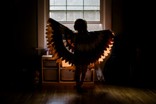 A Small Girl Stands Silhouetted In A Window Wearing Outstretched Wings