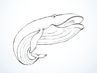 Sticker - Vector drawing. Whale swims in the sea