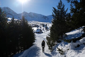 Poster - Beautiful winter scenery of Hala Gasienicowa (Valley Gasienicowa) in Tatras Mountains, Zakopane, Poland, Tatra National Park. Single silhouette of person on trail.