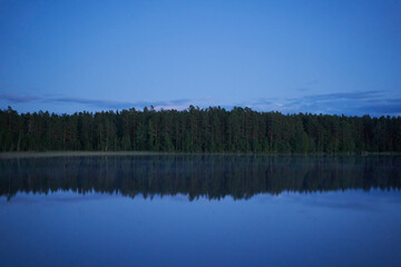 Wall Mural - Minimalistic mirror landscape with a forest reflection in the water.