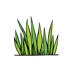 Wall Mural - A bunch of green grass. Hand drawn color vector illustration, clip art in doodle flat style, isolated. Nature theme