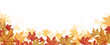 © Feodora_21 - Autumn background. Watercolor maple leaves border. Leaf fall horizontal banner. Thanksgiving and Harvest Day.