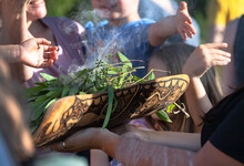 Australian Aboriginal Smoking Ceremony, Human Hands Are Touching The Smoke Of Burning Eucalyptus Branches, The Ritual Rite At The Community Event, Symbol Of Joining To The Indigenous Culture