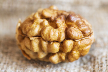 Poster - natural walnut kernel close-up. horizontal frame