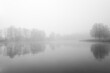 © Elly Miller - Germeringer See near Germering in Upper Bavaria. Landscape at the lake in the fog. Black and white shot. Foggy morning in nature.