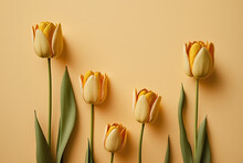 Tulip Flowers On Pastel Yellow Background With Copy Space. Generative AI.
