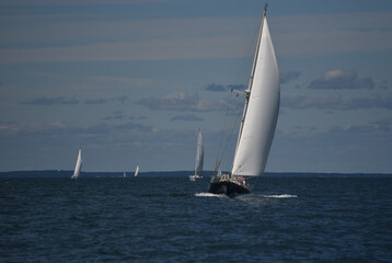 Numerous sailboats on the horizon 