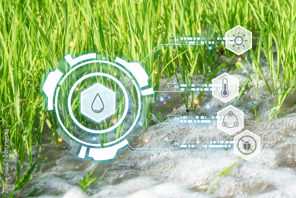 Smart farm digital icon and futuristic AI data infographic of Watering ...