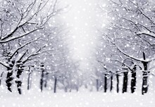 Alley Of Snow-covered Trees In Park During A Snowfall. Black White Winter Outdoor Abstract Illustration.