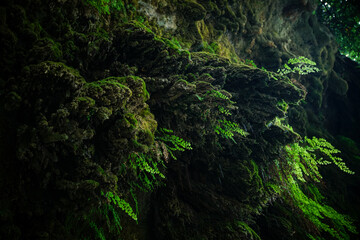 Wall Mural - Picturesque Kursunlu waterfall in Turkey