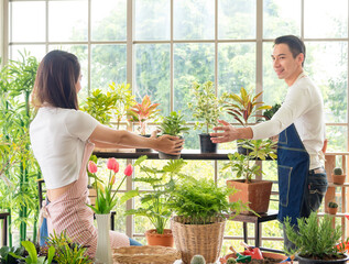 Gardener young Asian man woman family two person stand smiling looking hand holding help decorate the table tree leaf green in calm work shop home plant window wall. hobby job happy and care concept