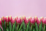 Fototapeta Tulipany - Pink tulips on the pink background. Flat lay, top view. Valentines background