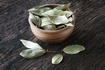 Poster - Bay leaf