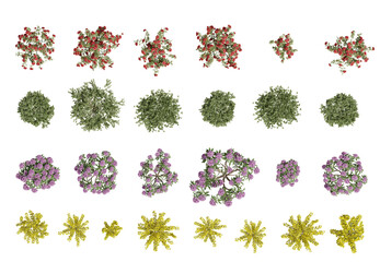 Set of flowers and shrubs, 3D rendering. top view, plan view, for illustration, architecture presentation, visualization, digital composition