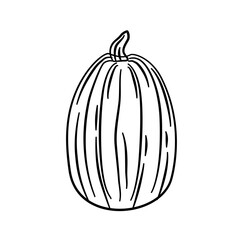 Canvas Print - pumpkin vegetarian line illustration