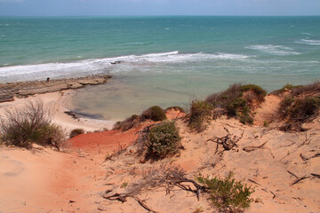 Wall Mural - françois péron park - shark bay - australia