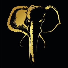 Golden border Elephant head over black background