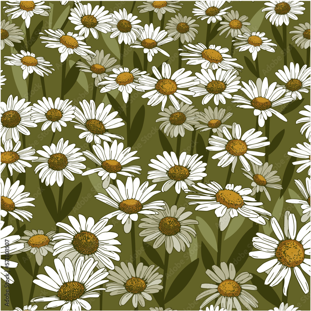 Vector drawing of a daisy. Hand-drawn drawing of a daisy. Seamless background with white flowers.